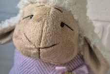 Овечка Луша