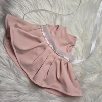 Путешественница