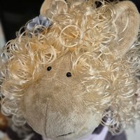 Путешественница