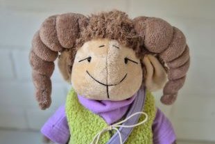 Барашек Тима